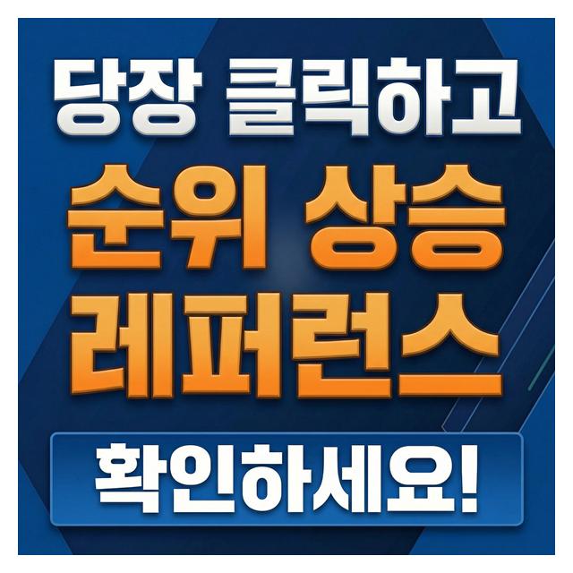 순위상승 레퍼런스 제공